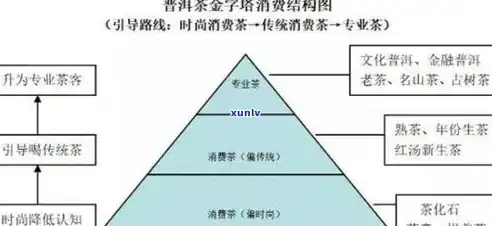 深入解析专业网站开发的策略与技巧，专业网站开发公司