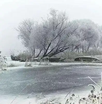 衡水网站建设，助力企业打造高效、专业的网络形象，衡水网站建设公司