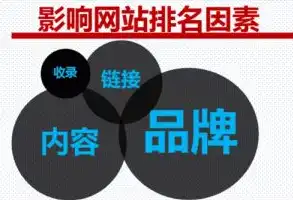 深度解析，上海SEO优化公司助力企业提升网络竞争力，上海排名优化seo