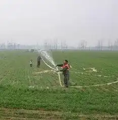 数据娃苹果恢复专家，全方位数据恢复神器，轻松应对苹果设备数据丢失难题！，数据蛙苹果恢复专家