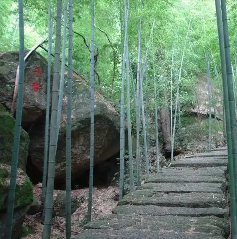 探秘黄山，揭秘自然与人文的完美融合，外网黄山网站