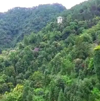 广东服务器租用，为企业提供高效稳定的网络服务解决方案，佛山服务器租用