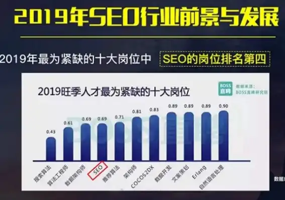 SEO细分行业解析，揭秘五大热门领域及发展趋势，seo行业分析