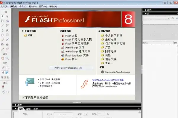 揭秘Flash打开网站源码的奥秘，技术与艺术的完美结合，flash源代码怎么看