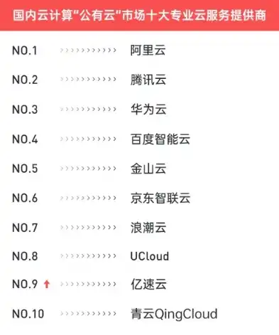 揭秘中国前10云服务器，性能卓越，助力企业数字化转型，中国前10云服务器排行榜