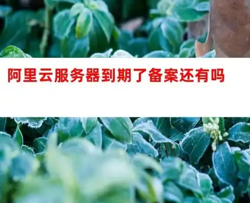 阿里云服务器过期备案，解决之道与备案攻略详解，阿里云服务器过期备案怎么弄