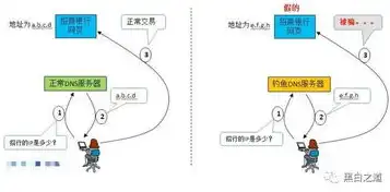 深度解析DNS服务器注册过程及其重要性，注册dns命令