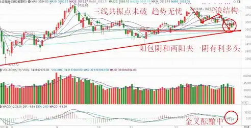 合肥长鑫存储股票，市场新秀崛起，投资价值分析及未来展望，合肥长鑫存储股票代码600206