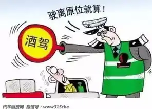 违反数据安全法，责任与后果的全面解析，违反数据安全法要承担什么责任吗