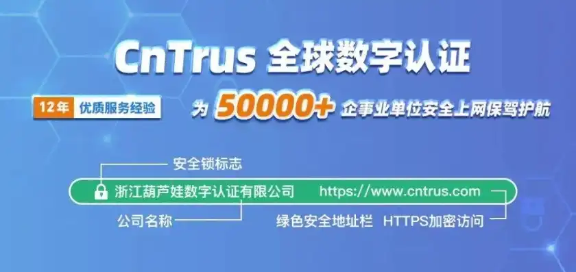 网站域名证书，数字时代企业信誉的护身符，网站域名证书哪里获取