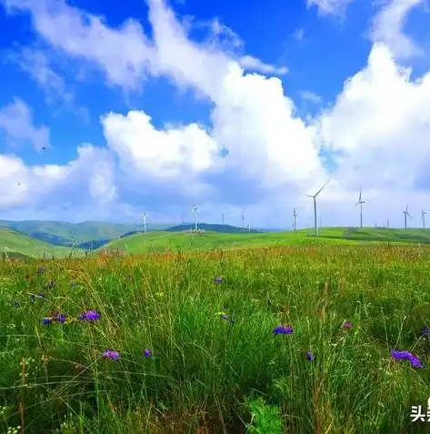 长治网站建设，打造高效、专业的网络平台，助力企业腾飞