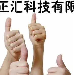 沈阳SEO优化攻略，全方位提升网站排名，助力企业品牌崛起，沈阳seo网站排名优化公司