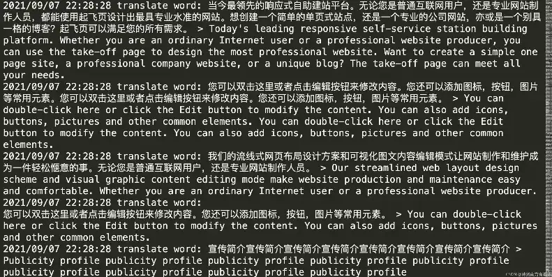 Decoding the English Website Source Code: A Comprehensive Guide，英文 网站 源码是什么