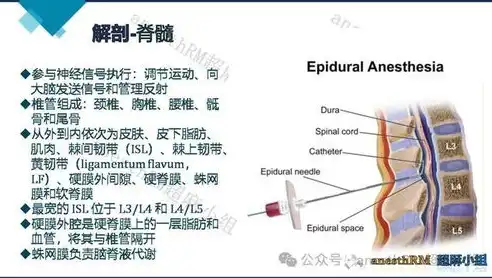 椎管内麻醉并发症的成因、表现及处理策略研究，椎管内麻醉并发症及处理原则