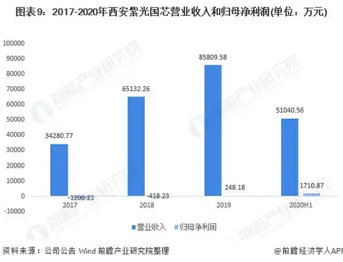 国内存储芯片龙头企业的崛起之路，技术创新与产业布局并重，国内存储芯片龙头上市企业