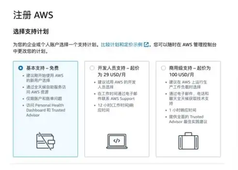 揭秘海外免费云服务器租用，低成本高收益的云端之旅，海外免费云服务器租用多少钱