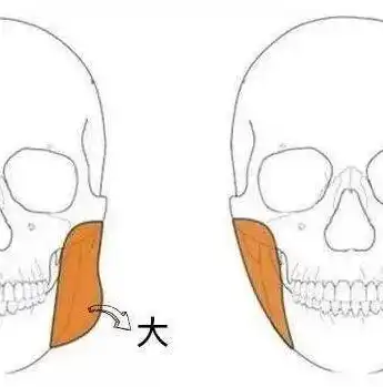 包头网站关键词优化软件助力企业提升网络曝光度，抢占搜索引擎排名！，包头网站建设