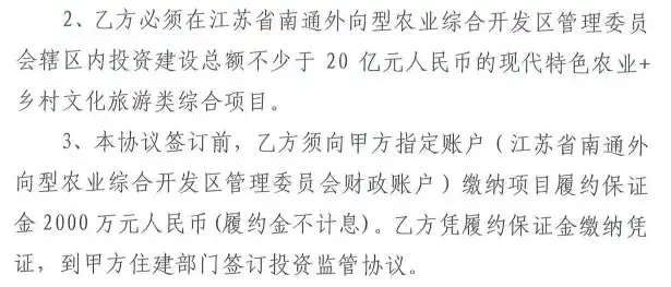 如东网站建设，打造专业、高效、具有地域特色的网络平台，如东网站建设招标公告