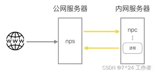 深入解析VPS服务器，公网VPS与内网VPS的区别与优劣，vps和服务器有啥区别