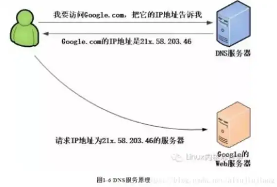 探析域名找不到DNS服务器问题，原因及解决策略，域名找不到服务器ip