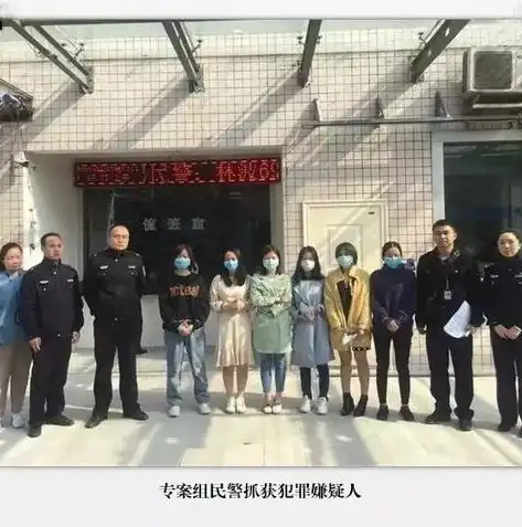 揭秘服务器被挂黑链，网络安全危机与应对策略，服务器被挂黑链怎么解决