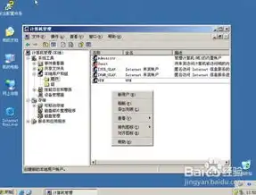 深入解析Win2003网站服务器的优化策略与维护技巧，win2003web服务器配置