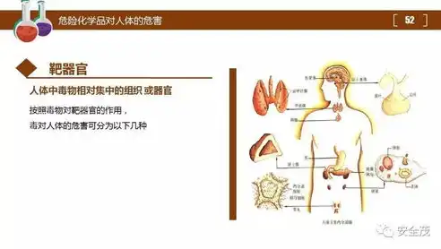 深入解析输液港并发症及应对策略，输液港的并发症及处理方法ppt