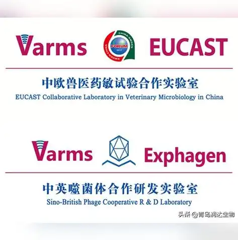 中英双语农业公司网站源码，打造国际化农业品牌的新利器，农业公司英语翻译