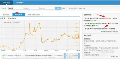 深度解析，高效网站排名提升工具，助你抢占搜索引擎流量高地，网站排名提升工具是什么