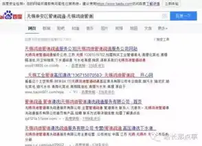 揭秘SEO网站排名查询，提升网站流量的秘密武器，seo排名查询结果