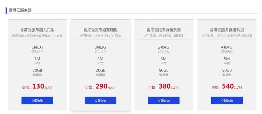 揭秘网站租用服务器费用，全面解析影响因素及节省策略，网站租用服务器费用多少