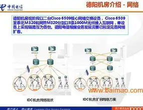 川蜀云网天地，四川服务器托管与租用全方位解析，四川服务器托管与租用区别