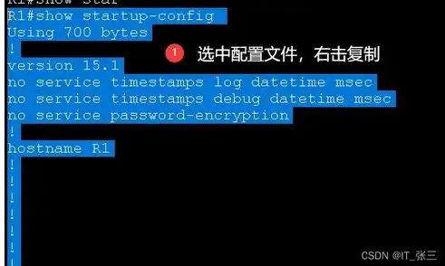 揭秘IP代理提取网站源码的神秘技巧，深度解析与实战案例，ip代理提取网站源码是什么