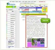 重庆地区网站建设，打造专业、个性化的网络空间解决方案，重庆做网站建设团队