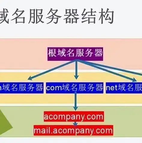 深入解析，如何查看服务器域名及其重要性与应用，查看服务器域名信息