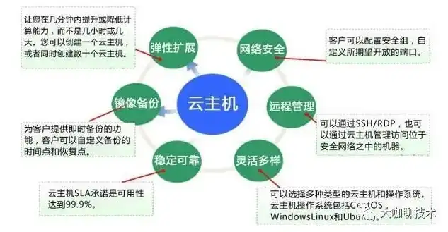 深度解析，国内主流云服务器的特点与选择指南，国内主流云服务器收费