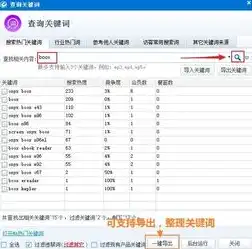 网站关键词搜索，高效获取信息，提升网站排名的秘诀，网站关键词搜索软件
