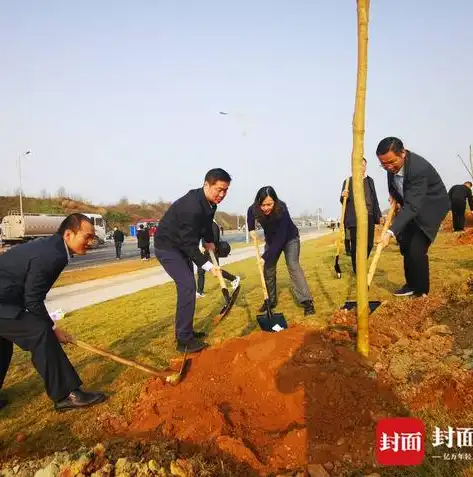 自贡网站设计，打造个性鲜明的城市门户，展现千年盐都魅力，自贡网站设计师招聘