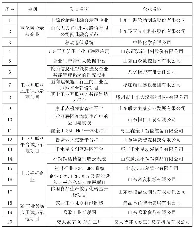 五莲网站建设，打造个性化品牌，助力企业腾飞，五莲网站建设招标公告