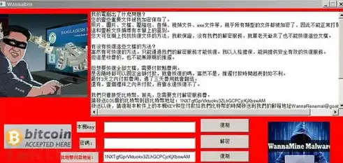 揭秘网站建设中源码的奥秘，从基础到进阶，网站建设中源码包括