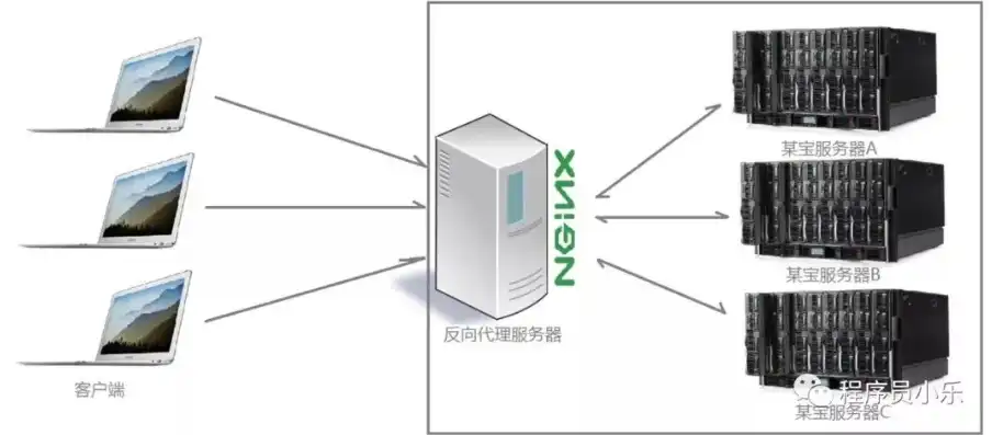 揭秘服务器与网站协同工作背后的秘密，服务器和网站