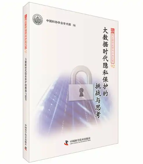 大数据时代，隐私保护的挑战与策略探讨，大数据下的隐私保护是什么