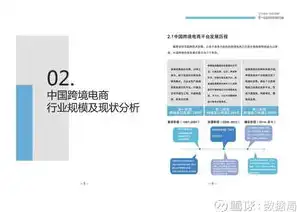 电商新纪元，行业现状深度剖析与未来前景展望，电子商务行业发展状况