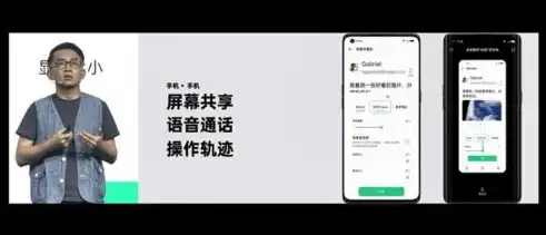 揭秘网站获取访客手机号源码的技术原理与应用场景，网站获取访客手机号源码安全吗