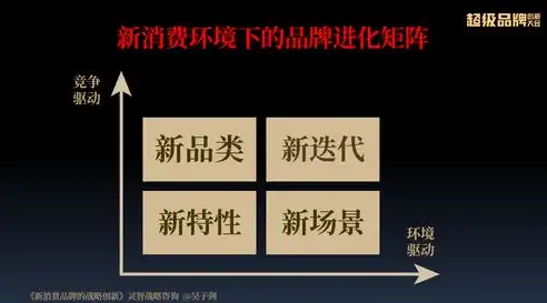 滨州网站推广攻略，全方位策略助力企业品牌腾飞，滨州网站推广公司