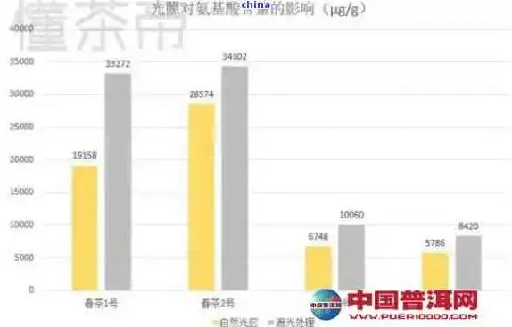 深度解析，选择最适合您的网站搭建平台——探索不同平台的优劣势，做网站的平台麻豆