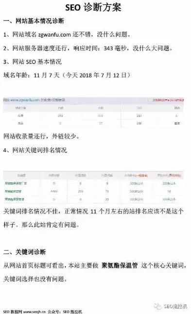 满山红SEO诊断报告，深度剖析网站优化问题及优化策略，满山红995