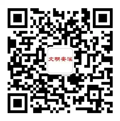 安溪网站建设，打造本地企业线上新天地，安溪网站建设招标公告