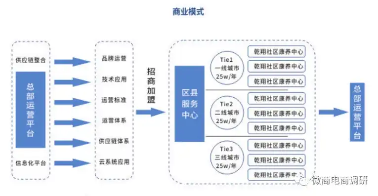 云平台商业运营策略，创新模式与盈利之道，云平台运营模式