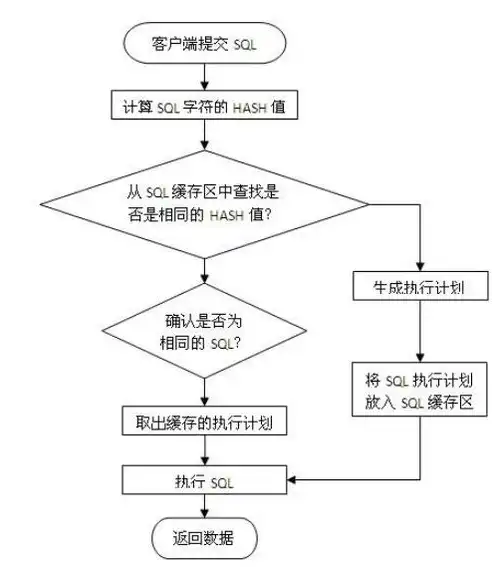 深入解析，服务器数据库类型全解析，服务器数据库有哪些类型的